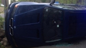 Incident bizar. Un şofer a pierdut controlul volanului din cauza unei albine