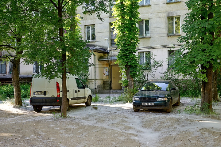 "Ninsoare" în luna mai! Puful de plop a împânzit străzile capitalei ca într-un coșmar (GALERIE FOTO)