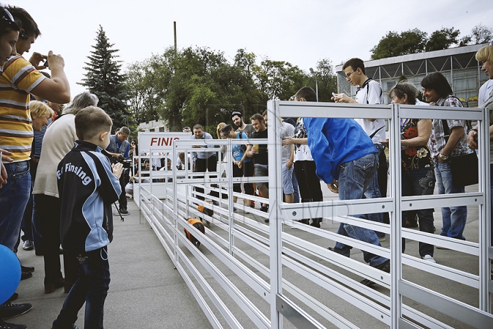 Nu poţi trece pe alături! Bucătarii pregătesc frigărui de-ţi lasă gura apă la festivalul Barbeque (GALERIE FOTO)