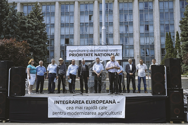 Protest în centrul Chişinăului! Mii de fermieri au ieşit în stradă (GALERIE FOTO)