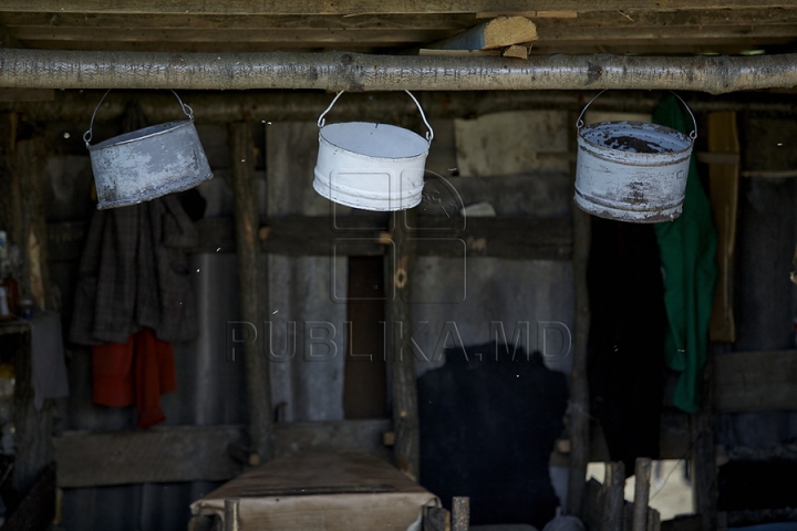 Tradiţii păstoreşti de Sfântul Gheorghe. Ce ritualuri respectă ciobanii pentru a avea un an îmbelşugat (GALERIE FOTO)