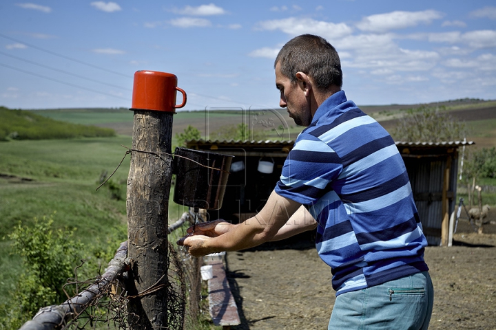 Tradiţii păstoreşti de Sfântul Gheorghe. Ce ritualuri respectă ciobanii pentru a avea un an îmbelşugat (GALERIE FOTO)