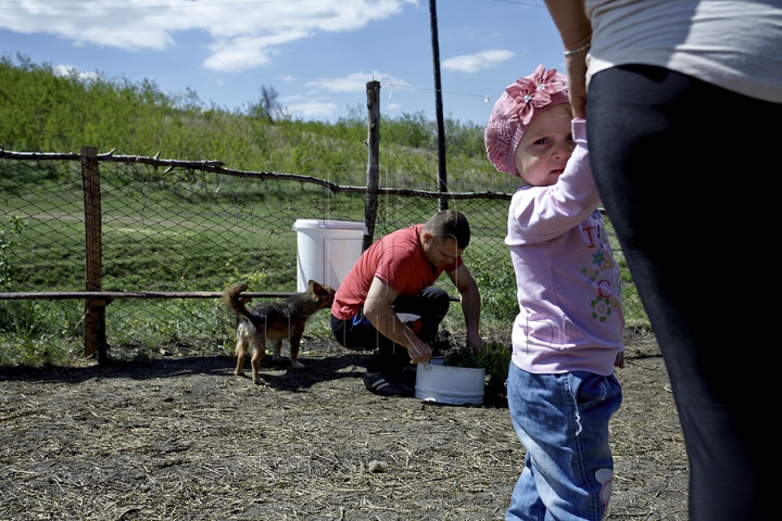 Tradiţii păstoreşti de Sfântul Gheorghe. Ce ritualuri respectă ciobanii pentru a avea un an îmbelşugat (GALERIE FOTO)