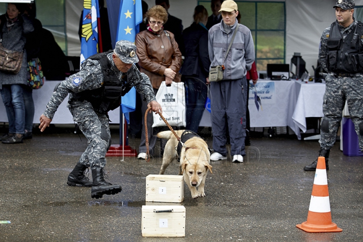 Ziua Europei, sărbătorită cu mare fast în Chişinău. Oamenii s-au delectat cu bucate tradiţionale, muzică şi dans (GALERIE FOTO)