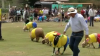 Febra Campionatului Mondial de Fotbal a cuprins şi animalele (VIDEO) 