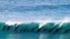 VIRAL PE INTERNET: Cum fac surf şi se joacă un grup de delfini
