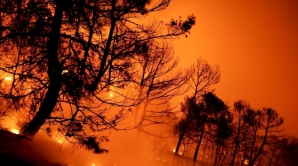 Vremea rea face ravagii în SUA. Incendiile de vegetaţie au afectat mii de hectare de teren