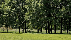 Revine vremea frumoasă. Câte grade promit meteorologii în următoarele şapte zile