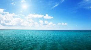 Ce a filmat un bărbat în timp ce înota. Clipul a adunat peste 17.000 de vizualizări (VIDEO)