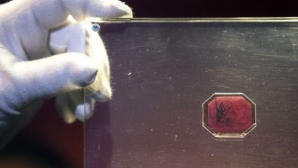 Cel mai rar şi mai scump timbru din lume urmează să fie vândut pentru un preţ record