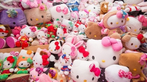 O tânără a cheltuit o avere pentru a cumpăra 10 mii de obiecte de colecţie cu personajul Hello Kitty (VIDEO)
