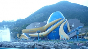 Expoziție periculoasă în China. Un acvarium de 2 200 de tone cu rechini a fost instalat într-un parc din Hong Kong (VIDEO)