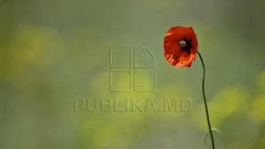 Temperaturi în creştere, dar şi câţiva stropi de ploaie ne aduce vremea în următoarele zile