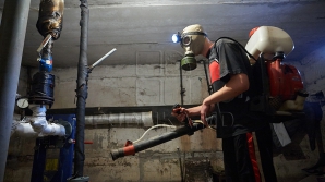 Gata cu puricii și ţânţari! Lucrările de dezinsecție în blocurile locative din Capitală au fost reluate  