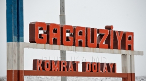 Poliţia a intentat dosar penal pentru dezordinile din Găgăuzia