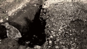 Ploile "au săpat" o gaură de 500 de mii de lei în bugetul raionului Briceni