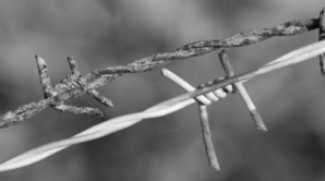 Ministrul de Externe al Poloniei: Rusia trebuie să oprească fluxul de militanţi şi de arme spre Ucraina