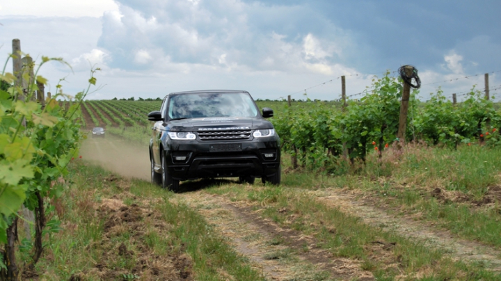 Soare, aer, viță de vie, vin și … Land Rover – minunat! 