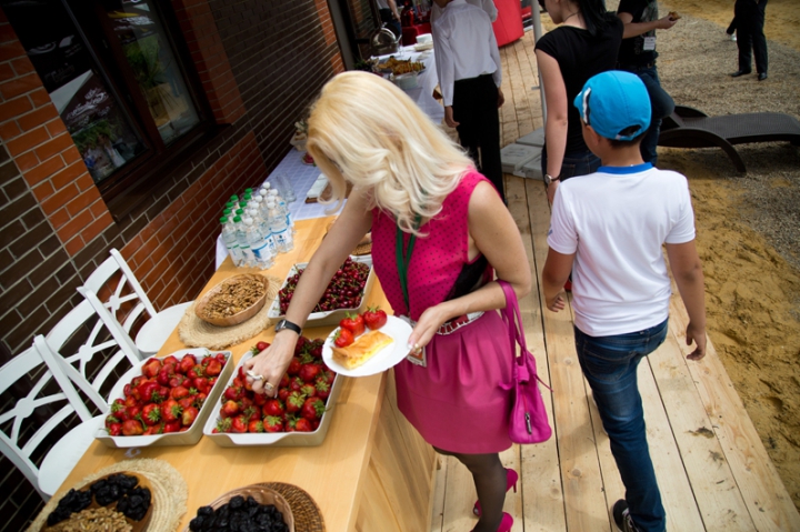 Soare, aer, viță de vie, vin și … Land Rover – minunat! 