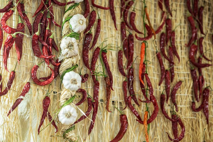 "Lăutarii" din Tallinn: "Cea mai gustoasă metodă de a face cunoştinţă cu Moldova" (GALERIE FOTO)