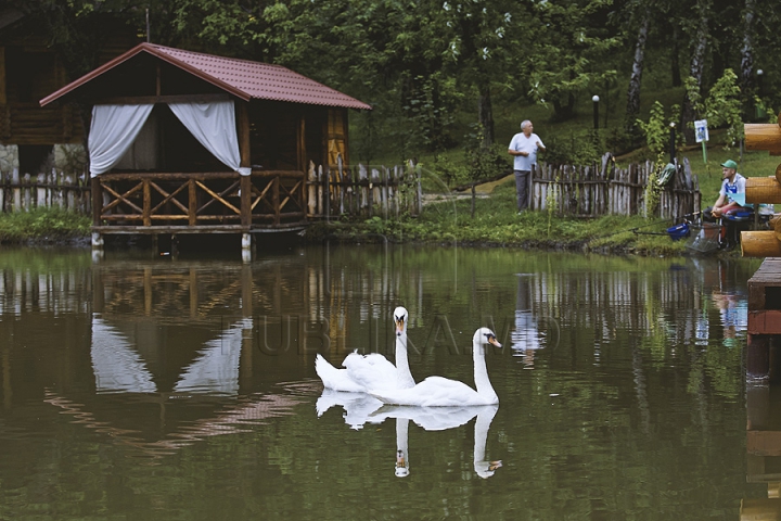 (GALERIE FOTO) Ziua pescarilor, sărbătorită la Chişinău. Profesioniştii au dezvăluit cum prind peşti mari