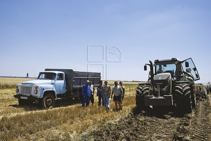 GALERIE FOTO de la seceriş! Fermierii au strâns prima roadă de grâu din acest an