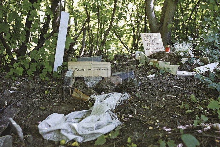 Dragoste extremă! Într-o pădure din capitală a fost improvizat un cimitir pentru animale (GALERIE FOTO)  