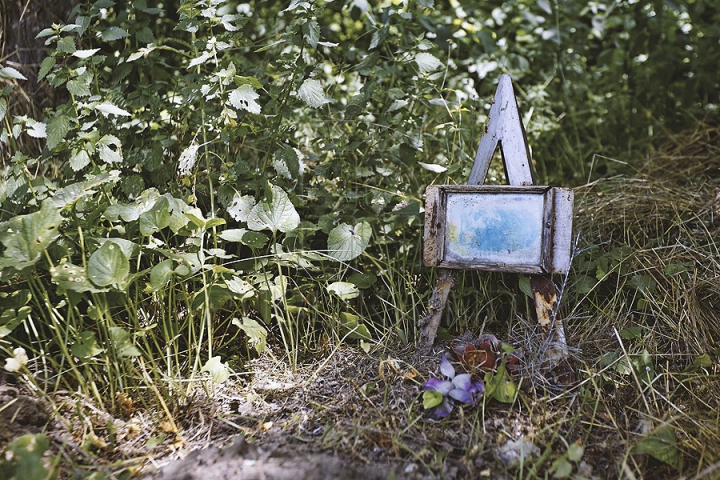 Dragoste extremă! Într-o pădure din capitală a fost improvizat un cimitir pentru animale (GALERIE FOTO)  