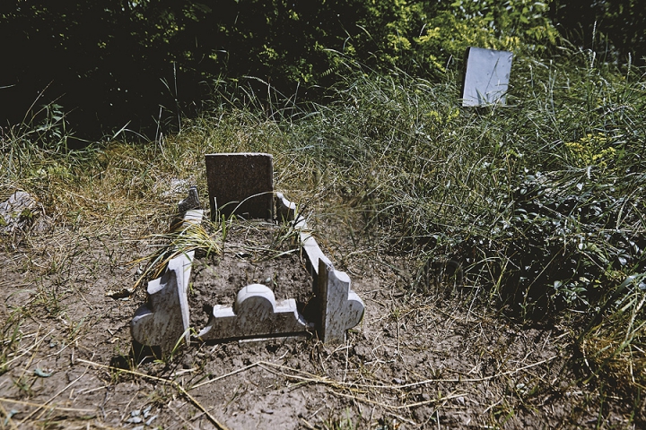 Dragoste extremă! Într-o pădure din capitală a fost improvizat un cimitir pentru animale (GALERIE FOTO)  