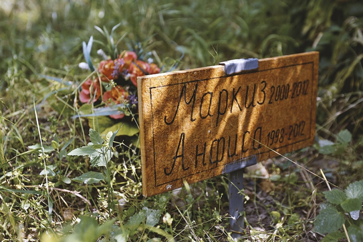 Dragoste extremă! Într-o pădure din capitală a fost improvizat un cimitir pentru animale (GALERIE FOTO)  