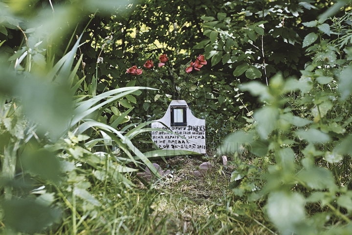 Dragoste extremă! Într-o pădure din capitală a fost improvizat un cimitir pentru animale (GALERIE FOTO)  