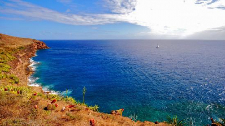 Un fenomen fără precedent din Marea Mediterană îi sperie pe cercetători