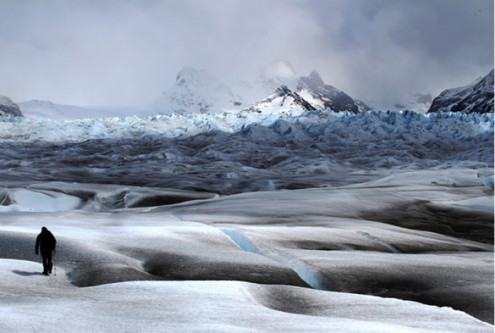 Cele mai bune fotografii realizate cu un iPhone (GALERIE FOTO)
