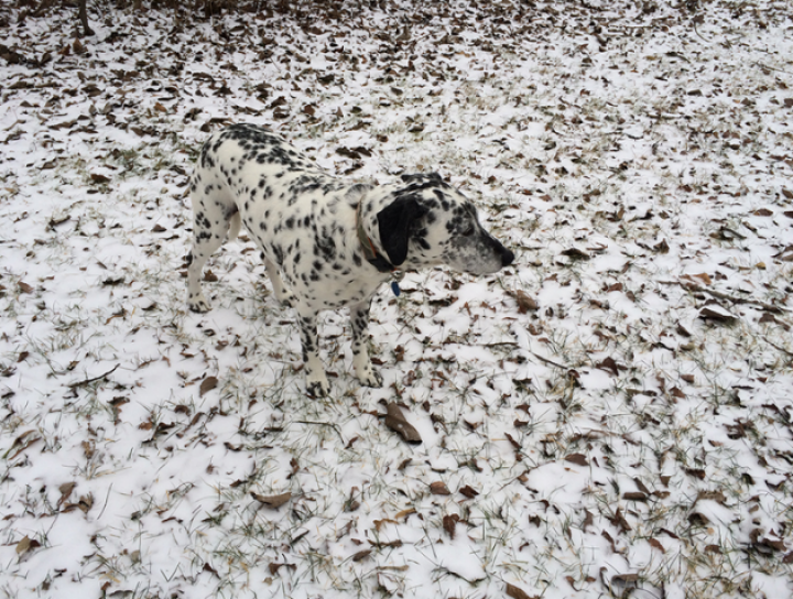 Cele mai bune fotografii realizate cu un iPhone (GALERIE FOTO)