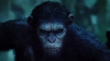 Filmul Dawn of the Planet of the Apes rămâne şi săptămâna aceasta lider în box office-ul nord-american