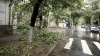 Crengi rupte şi copaci dărâmaţi! Aşa arată oraşul Cahul după o ploaie torenţială (VIDEO)