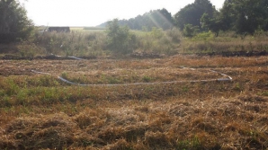 Pompau alcool cu furtunul dintr-o ţară în alta. Trei persoane au fost reţinute în flagrant (FOTO)