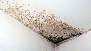 Cum arată unele încăperi din noul Bloc Hematologic al Institutului Oncologic reparat recent (VIDEO)