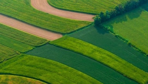 Agricultură la înălţime în România. Ce au descoperit în premieră cercetătorii de peste Prut