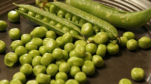 Competiţie internaţională în Anglia. Sute de participanţi şi curioşi au venit la Campionatul Mondial de aruncat boabe de mazăre