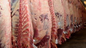 Ucraina interzice importul cărnii de porc din Rusia