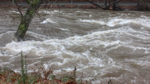 Suedia se confruntă cu inundaţii catastrofale. Centrul şi vestul ţării s-au pomenit sub ape