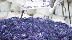 Vameşii moldoveni fac harcea-parcea jumătate de milion de sacoşe. Ce i-a înfuriat (VIDEO)