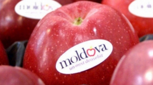 Iurie Leancă se va întâlni cu producătorii afectaţi de embargoul rus pentru a stabili un plan de măsuri