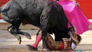 Cursa cu taurii continuă: Cel puţin şase oameni au fost răniţi 