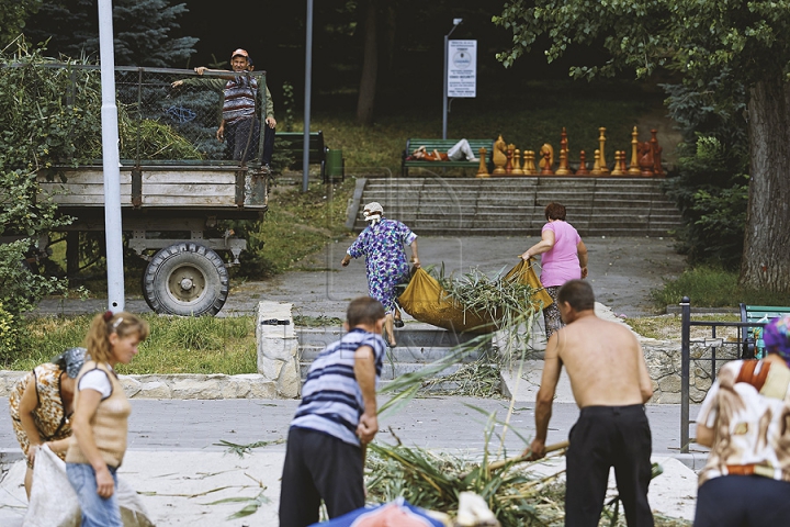 Cu greble și pături! Cum LUPTĂ muncitorii cu stuful din lacul de la Valea Morilor (GALERIE FOTO)