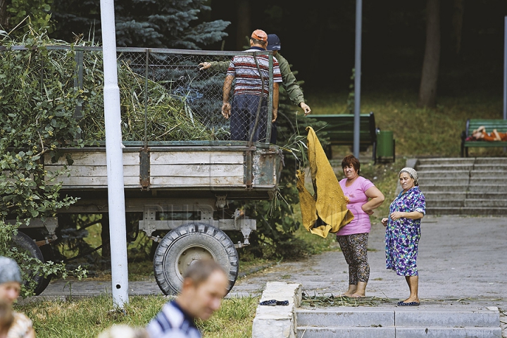 Cu greble și pături! Cum LUPTĂ muncitorii cu stuful din lacul de la Valea Morilor (GALERIE FOTO)