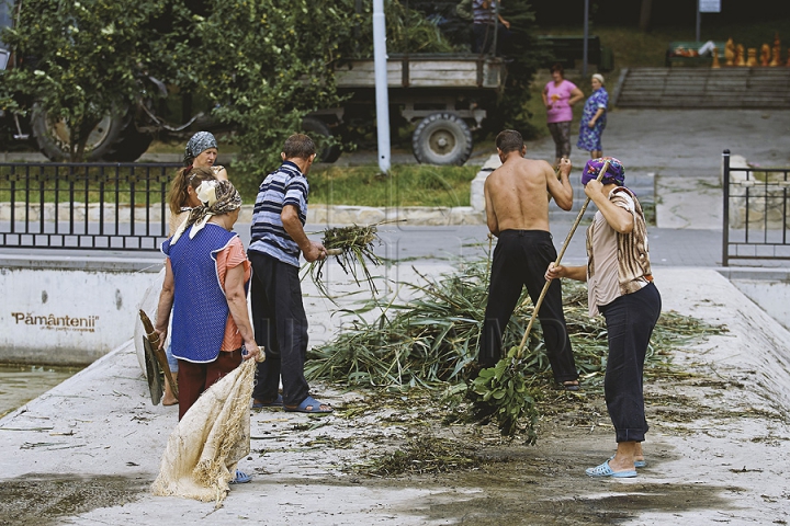 Cu greble și pături! Cum LUPTĂ muncitorii cu stuful din lacul de la Valea Morilor (GALERIE FOTO)