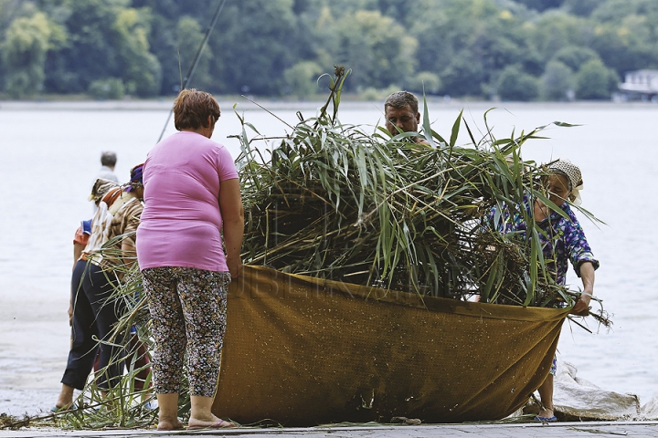 Cu greble și pături! Cum LUPTĂ muncitorii cu stuful din lacul de la Valea Morilor (GALERIE FOTO)