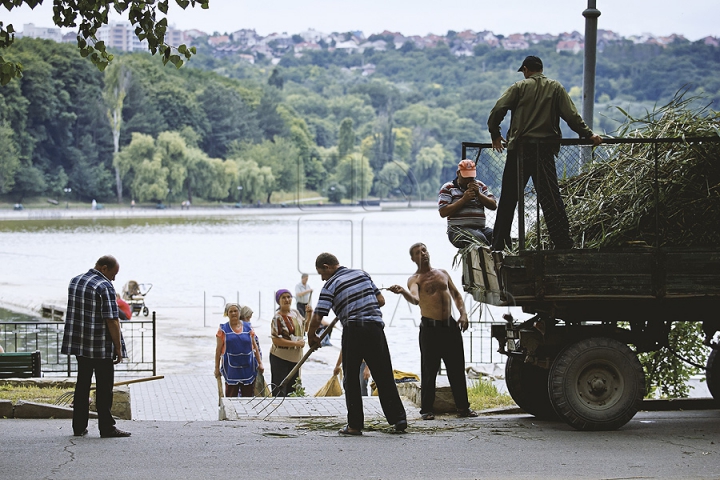 Cu greble și pături! Cum LUPTĂ muncitorii cu stuful din lacul de la Valea Morilor (GALERIE FOTO)